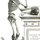 Vesalius 164frc