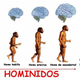 Hominidos