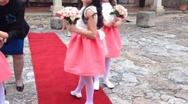 Timeline: Mi linea de Tiempo