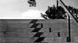 Timeline: SKATEBOARDING