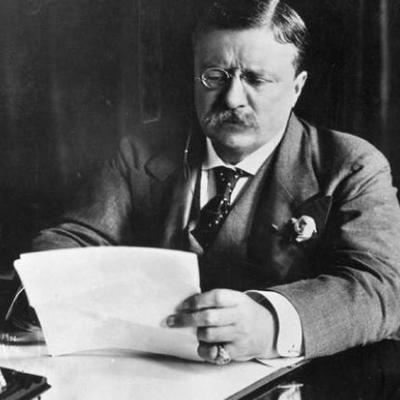 Timeline: Progressive Teddy