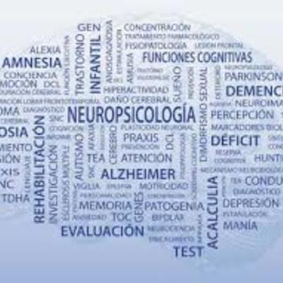 Timeline: Introducción a la Neuropsicología