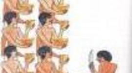 Timeline: Знакомьтесь, Дроби!