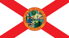 Timeline: Terrific Timeline