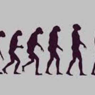 Timeline: Evolución del Taekwondo