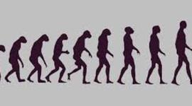 Timeline: Evolución del Taekwondo