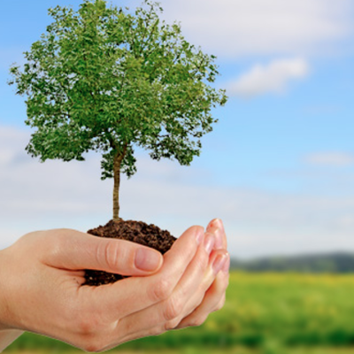 Timeline: MI VIDA :D