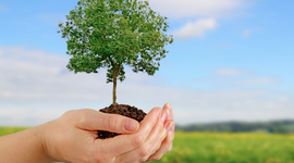 Timeline: MI VIDA :D