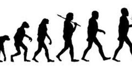 Timeline: Cronologia de los hominidos