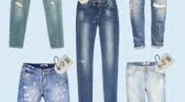 Timeline: גינסים