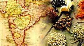 Timeline: A Rota Das Especiarias