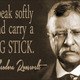 Theodore roosevelt quote