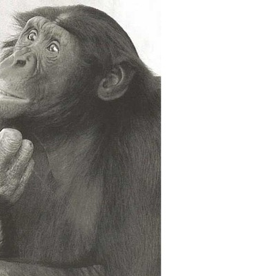 Timeline: Learning English using ICT resources