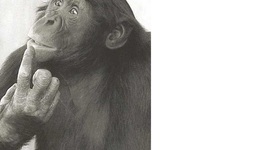 Timeline: Learning English using ICT resources