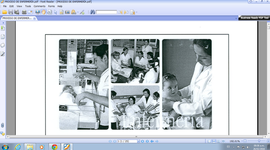 Timeline: Evolución Histórica del Proceso de Enfermería