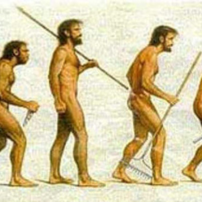 Timeline: Evolución de los homínidos