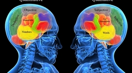 Timeline: Qualitative and quantitative reserch