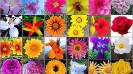 Timeline: La Historia de mi vida