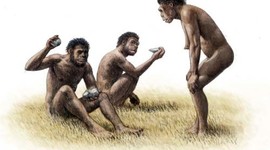 Timeline: La evolución de los homínidos