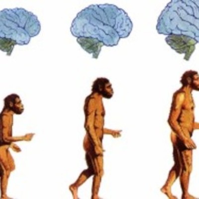 Timeline: Filogenia del Homo sapiens spiens