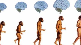 Timeline: Filogenia del Homo sapiens spiens