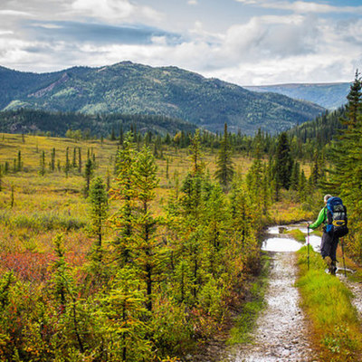 Timeline: Not All Who Wander Are Lost