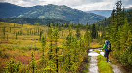 Timeline: Not All Who Wander Are Lost