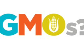 Timeline: What They Say: Tracing Conversations over Time: GMO's