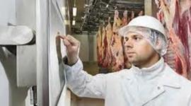 Timeline: Meatpacking by Kennedy Taylor