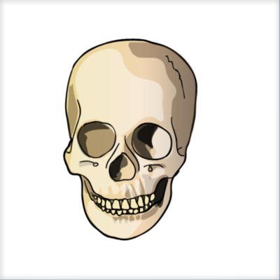 Timeline: Evolution Hominins Timeline