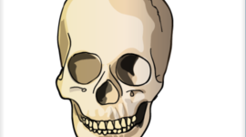 Timeline: Evolution Hominins Timeline