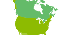 Timeline: The Epic Journey of Chris McCandless