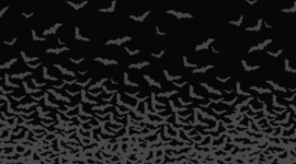 Timeline: Vampire Movies/Shows