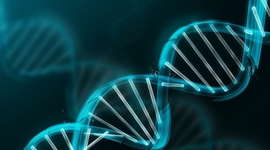 Timeline: The History of Cells