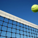 Tennis ball net