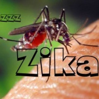Timeline: Zika Vírus