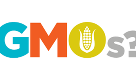 Timeline: How GMOs have Changed Overtime