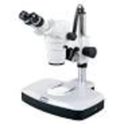 Timeline: Microscopio