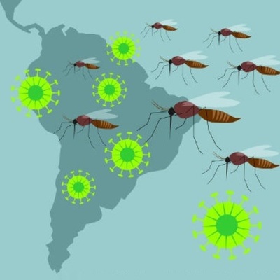 Timeline: Zika Vírus