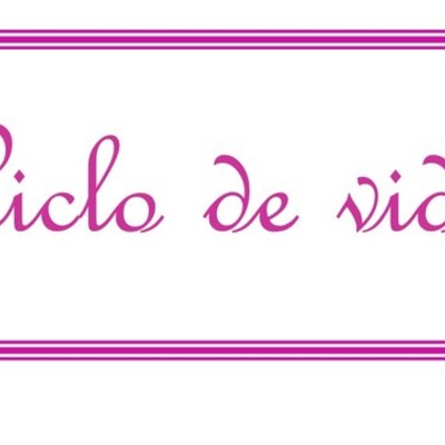 Timeline: Ciclo de vida - linha do tempo