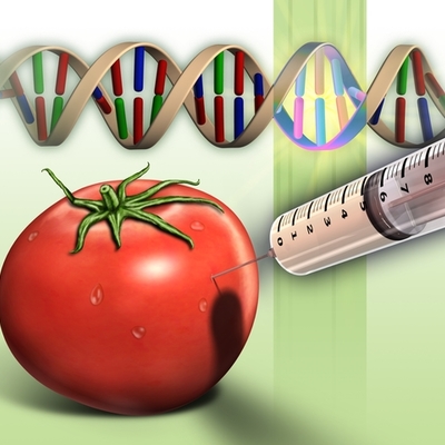 Timeline: Project 1 Sources