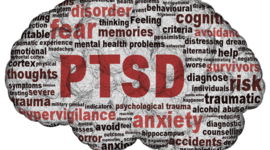 Timeline: PTSD, treatment and sociological view over time