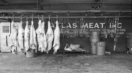 Timeline: Meatpacking by. Aissata Gbane