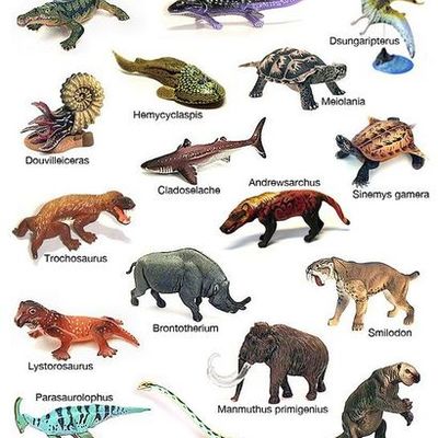 Timeline: Extinct animals