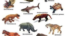 Timeline: Extinct animals