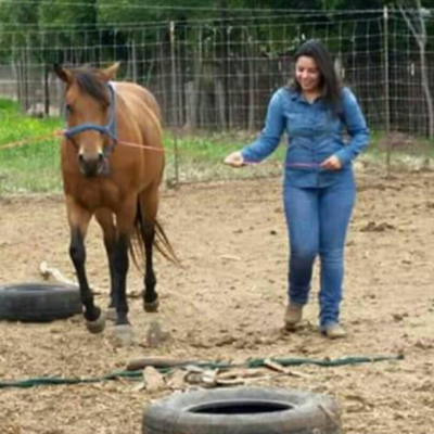 Timeline: Historia de mi vida♥