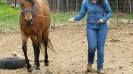 Timeline: Historia de mi vida♥