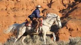 Timeline: Westward Expansion