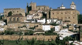 Timeline: proyecto uno