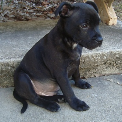 Timeline: josh.t's Xbox 360 games